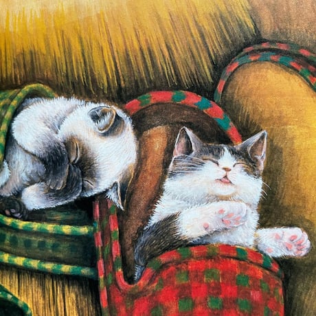 『こねこのウィンクルとクリスマスツリー』さとうゆうすけ★サイン本