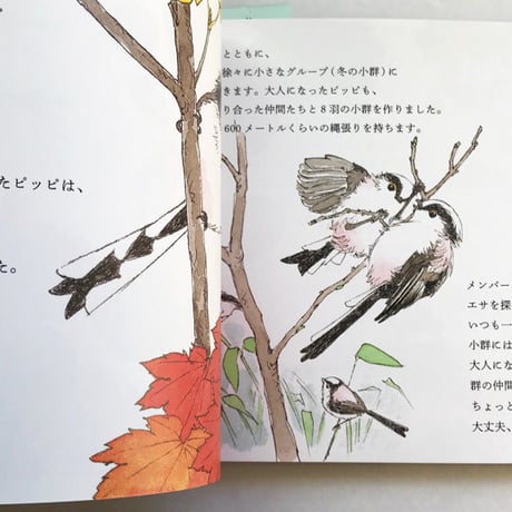 『エナガの一生』