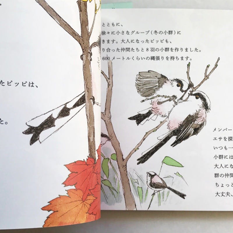 エナガの一生』 | URESICA