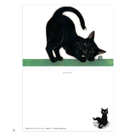 坂本千明「ぼくはいしころ」ポストカード