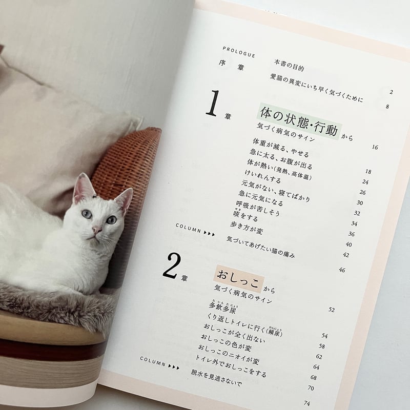 猫の病気のサインがわかる図鑑』 | URESICA