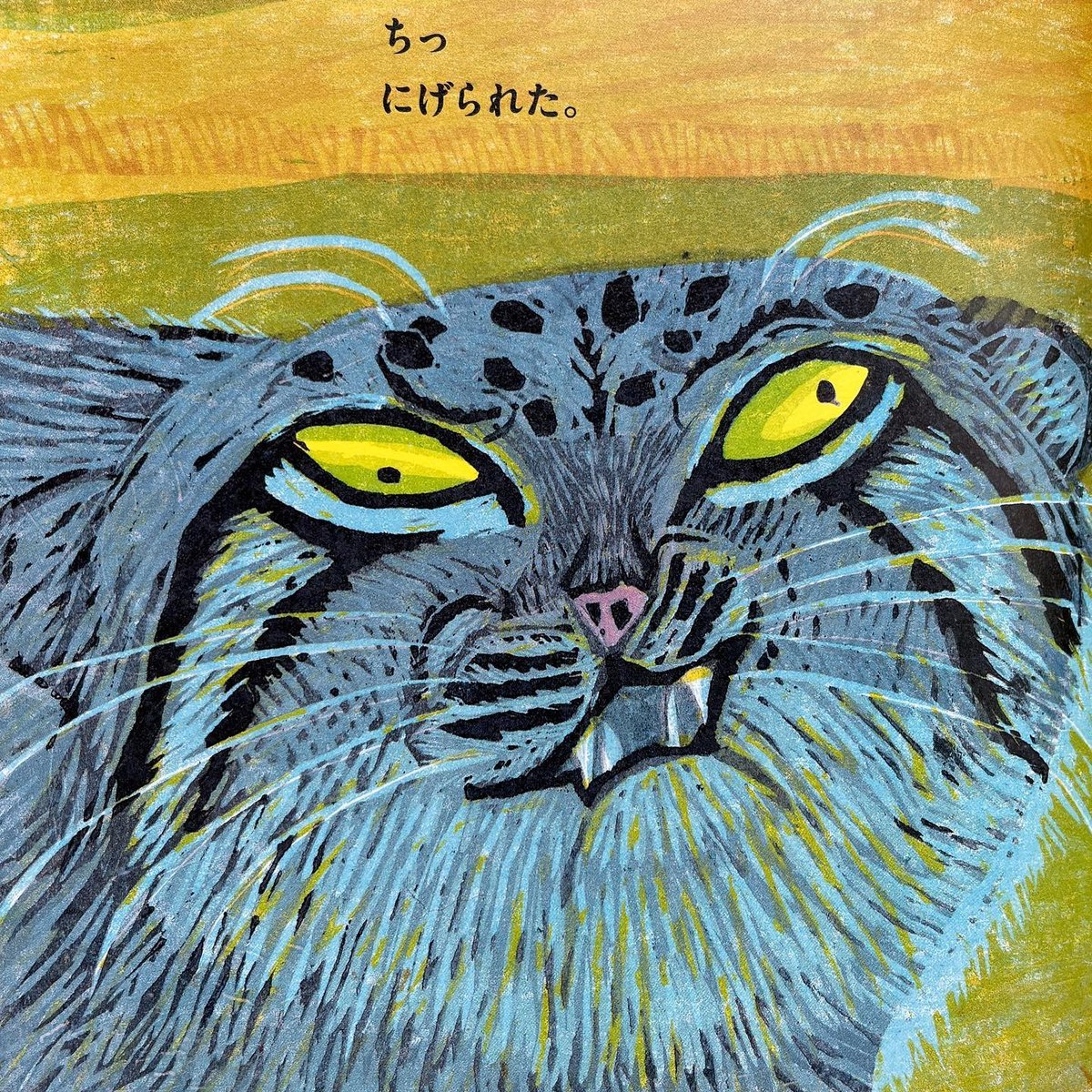 アクリル画　マヌルネコ アクリル画 マヌルネコ アクリル画 マヌルネコ 商品詳細ページ