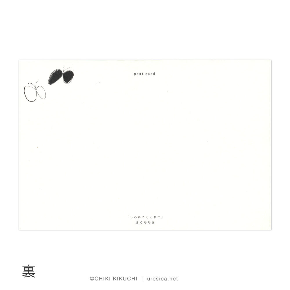 【希少＊美品】 TEXT / ねこぼーろ 猫ポストカード 白猫（中村玲子）｜HITOTOKI公式オンライン