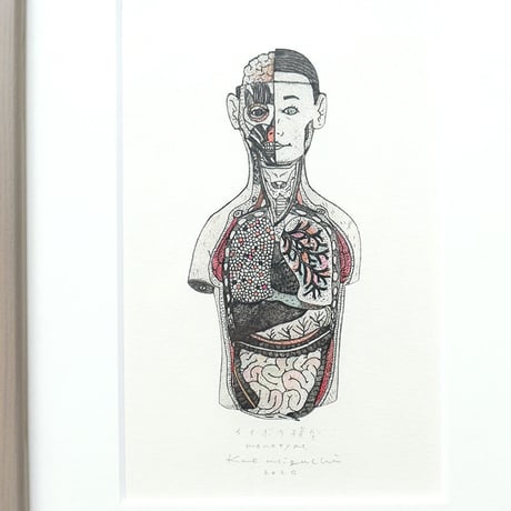 樋口佳絵「カイボウ模型」＊額装品