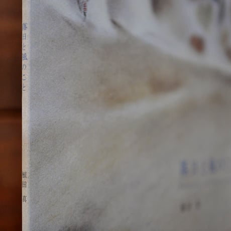 植田真 『落日と風のこと』