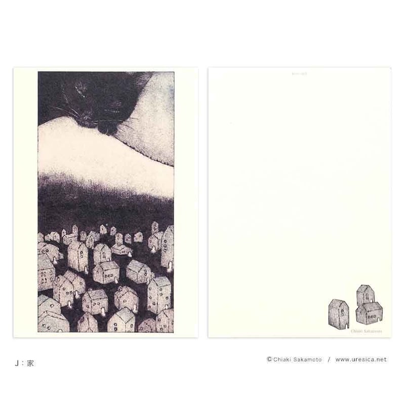 坂本千明 ポストカード（猫） | URESICA