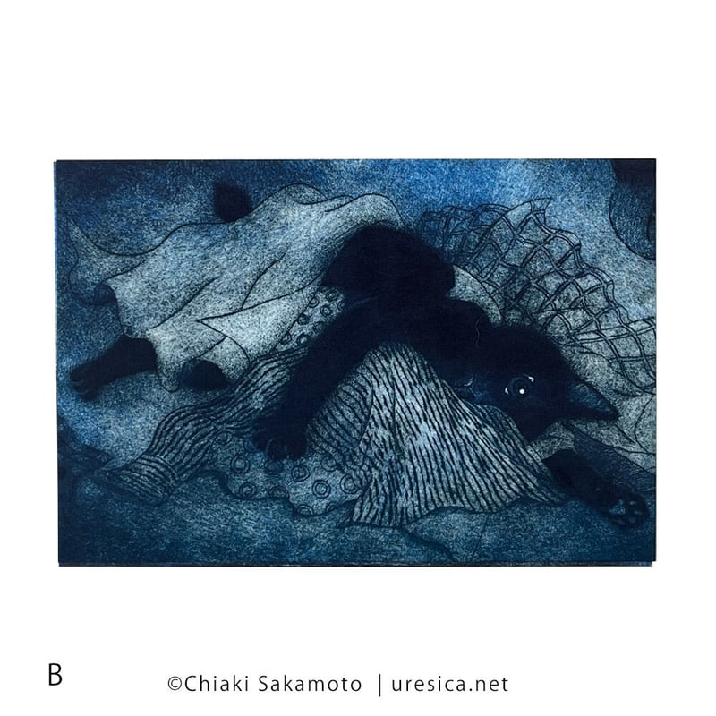 坂本千明「ねこのねえ」ポストカード | URESICA