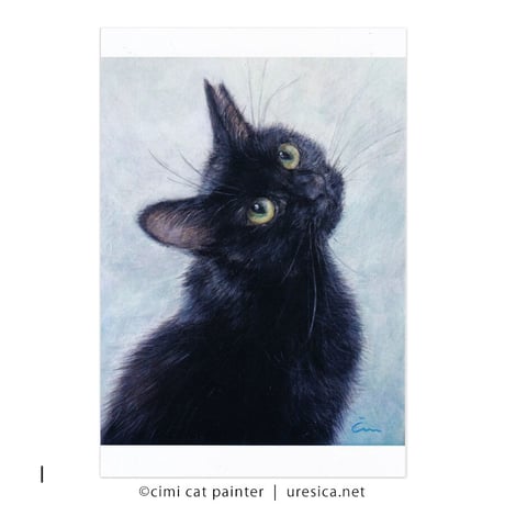 Čimi Cat Painter  ポストカード１