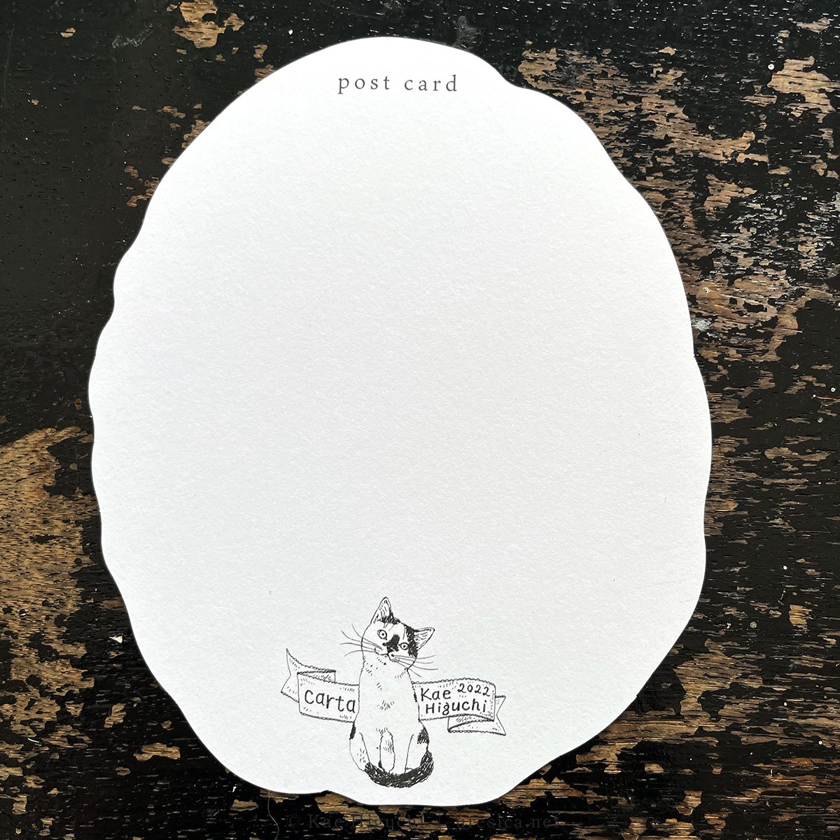 なんとなく書いた 絵 一言で絵になる幸せが戻ってきた：ハヤシシュンスケさんの透明な
