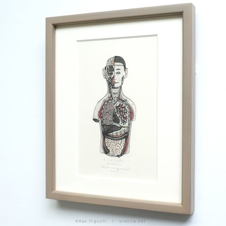 樋口佳絵「カイボウ模型」＊額装品