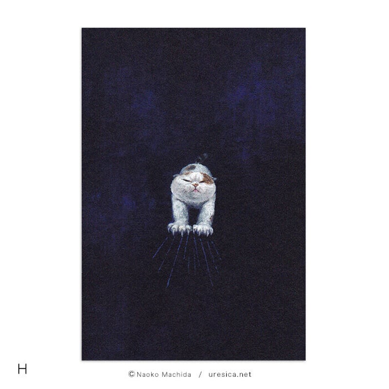 町田尚子 ポストカード1 | URESICA