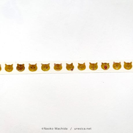 町田尚子「茶トラトラ」マスキングテープ