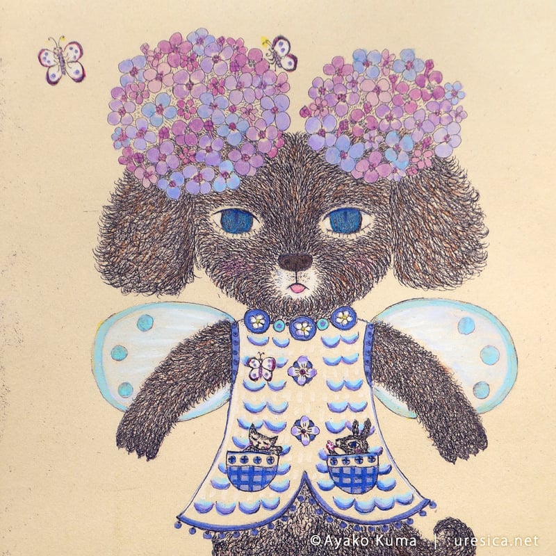 くまあやこ「紫陽花の精」 | URESICA