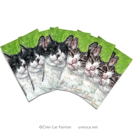 Čimi Cat Painter「びんぼん」チャリティーカード