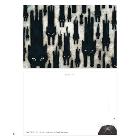 坂本千明「ぼくはいしころ」ポストカード