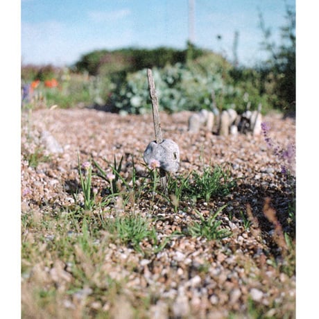 Hakoen「Early summer "The Garden"」