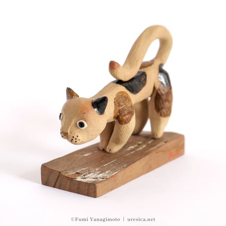 柳本史　猫５
