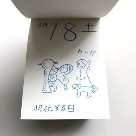 渡邉知樹ぺぺぺ日めくりカレンダー2017（箱入り）