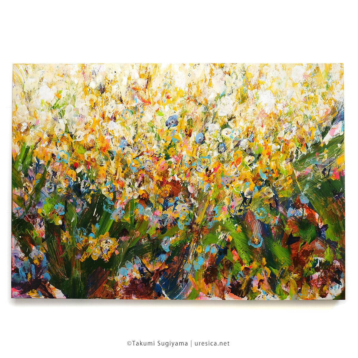 【真作】絵画　杉山誠治　油彩6号　マーガレット　華やかな花束　自然の美　V33 真作】絵画 杉山誠治 油彩6号 マーガレット 華やかな花束 自然の