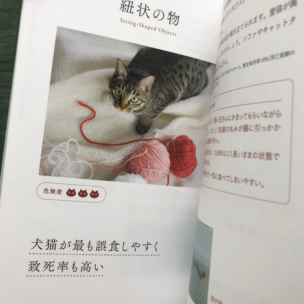 猫が食べると危ない食品・植物・家の中の物図鑑』 | URESICA