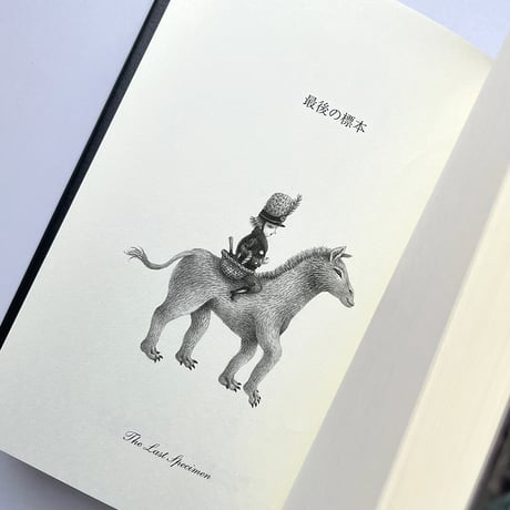 『お城の人々』ジョーン・エイキン／さかたきよこ 絵