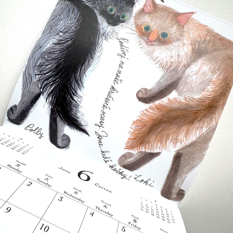 出久根育 チェコの猫の12カ月カレンダー2026 | URESICA