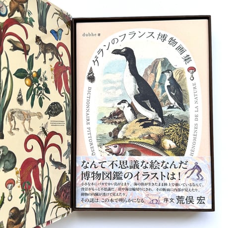 『ゲランのフランス博物画集』dubhe／スペシャルボックス