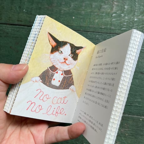 ねこ100テン ポストカードブック
