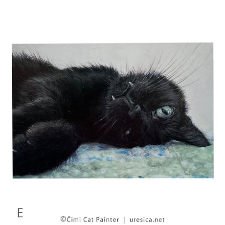 Čimi Cat Painter  ポストカード２