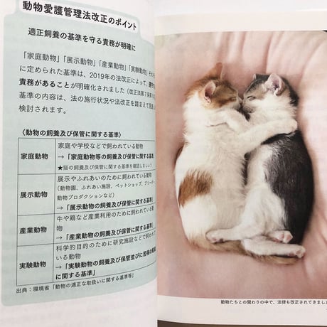 『猫からのおねがい 猫も人も幸せになれる迎え方&暮らし 』