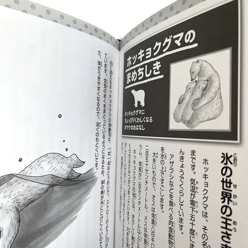 ちびしろくまのねがいごと』庄野ナホコ 絵 | URESICA