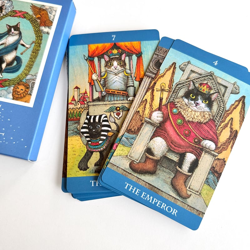 心をケアする猫タロット占い & CAT CARE TAROT セット 心をケアする猫タロット占い | 高橋桐矢, 猫野ぺすか |本 | 通販 | Amazon
