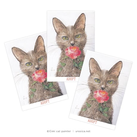 Čimi Cat Painter チャリティーカード3枚組