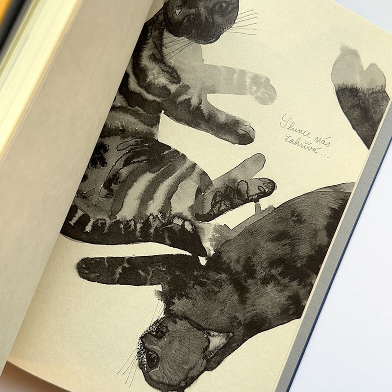 出久根育作品集『SABINKA A MAKULKA』 | URESICA