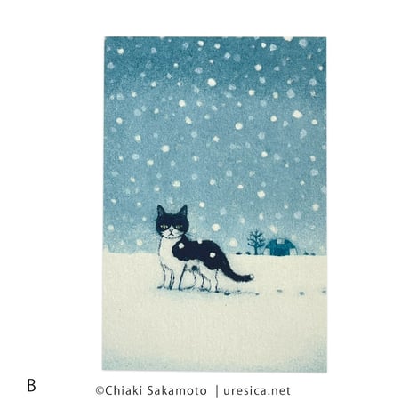 坂本千明　ポストカード（雪）