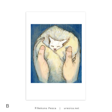猫野ぺすか「11月の猫」ポストカード