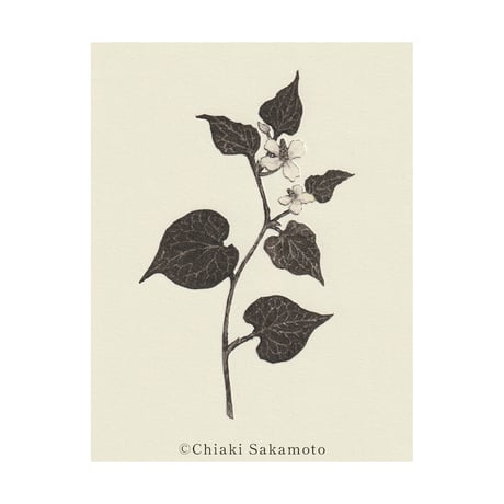 4/18（土）坂本千明WS：紙版画で描く挿絵「詩」