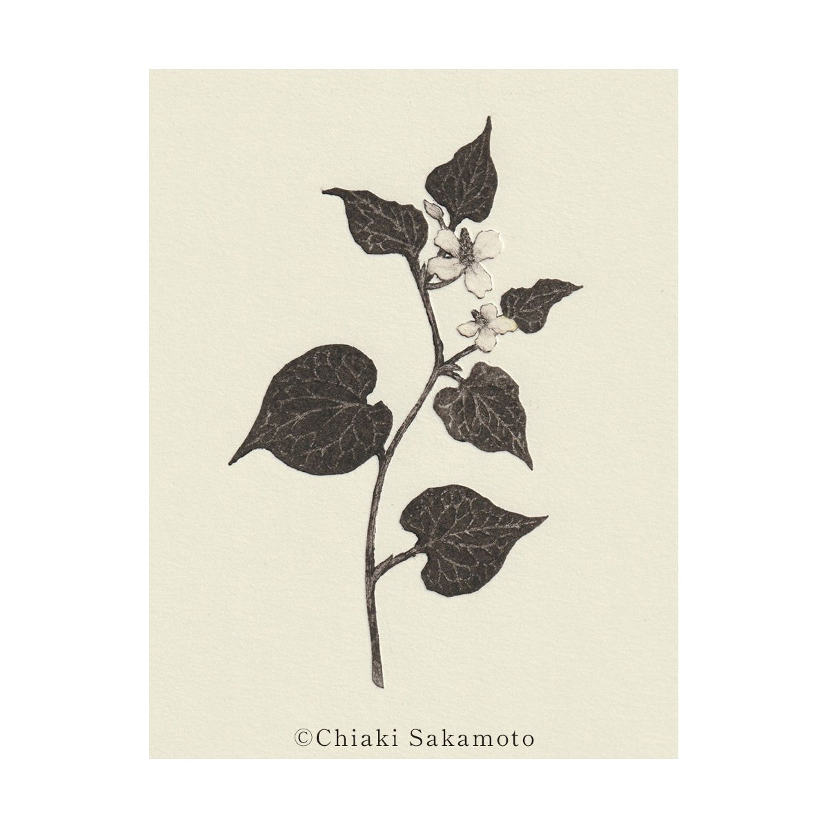 4/18（土）坂本千明WS：紙版画で描く挿絵「詩」 | URESICA