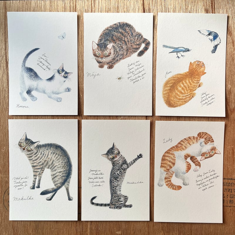 ねこ★ポストカードセット② 出久根育 チェコの猫の12カ月 ポストカードSET | URESICA