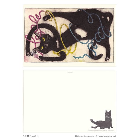 坂本千明　ポストカード（猫）