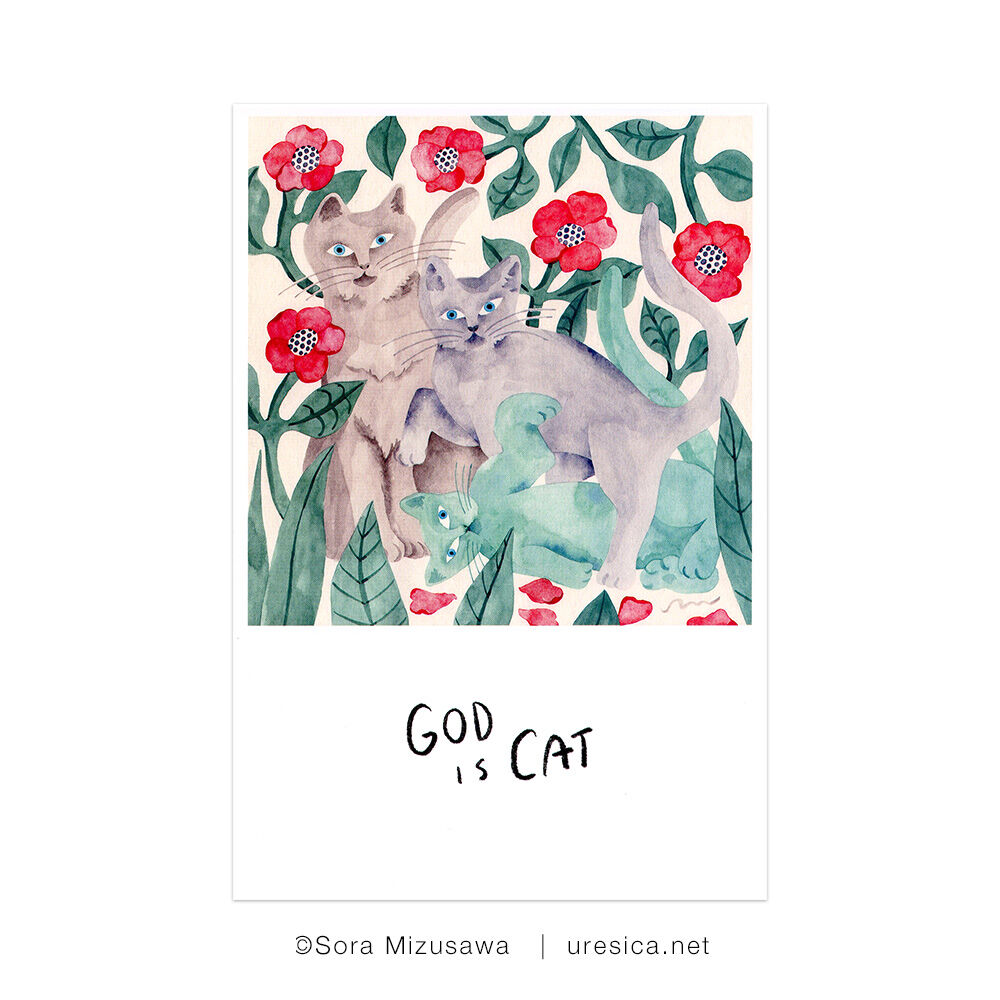 水沢そら「GOD IS CAT」ポストカード 4枚組 | URESICA 水沢そら「GOD IS CAT」ポストカード 4枚組 | URESICA