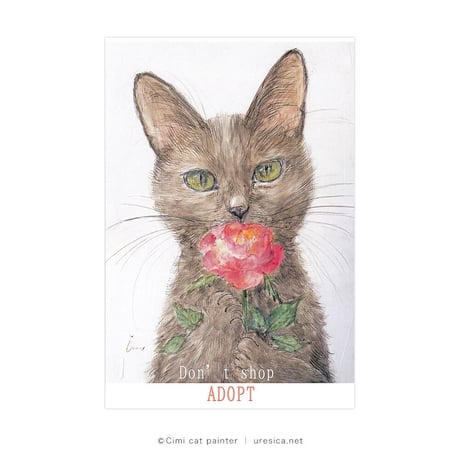 Čimi Cat Painter チャリティーカード3枚組