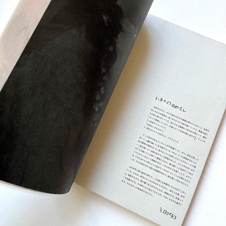 『いきものたちはわたしのかがみ』ミロコマチコ展覧会公式図録