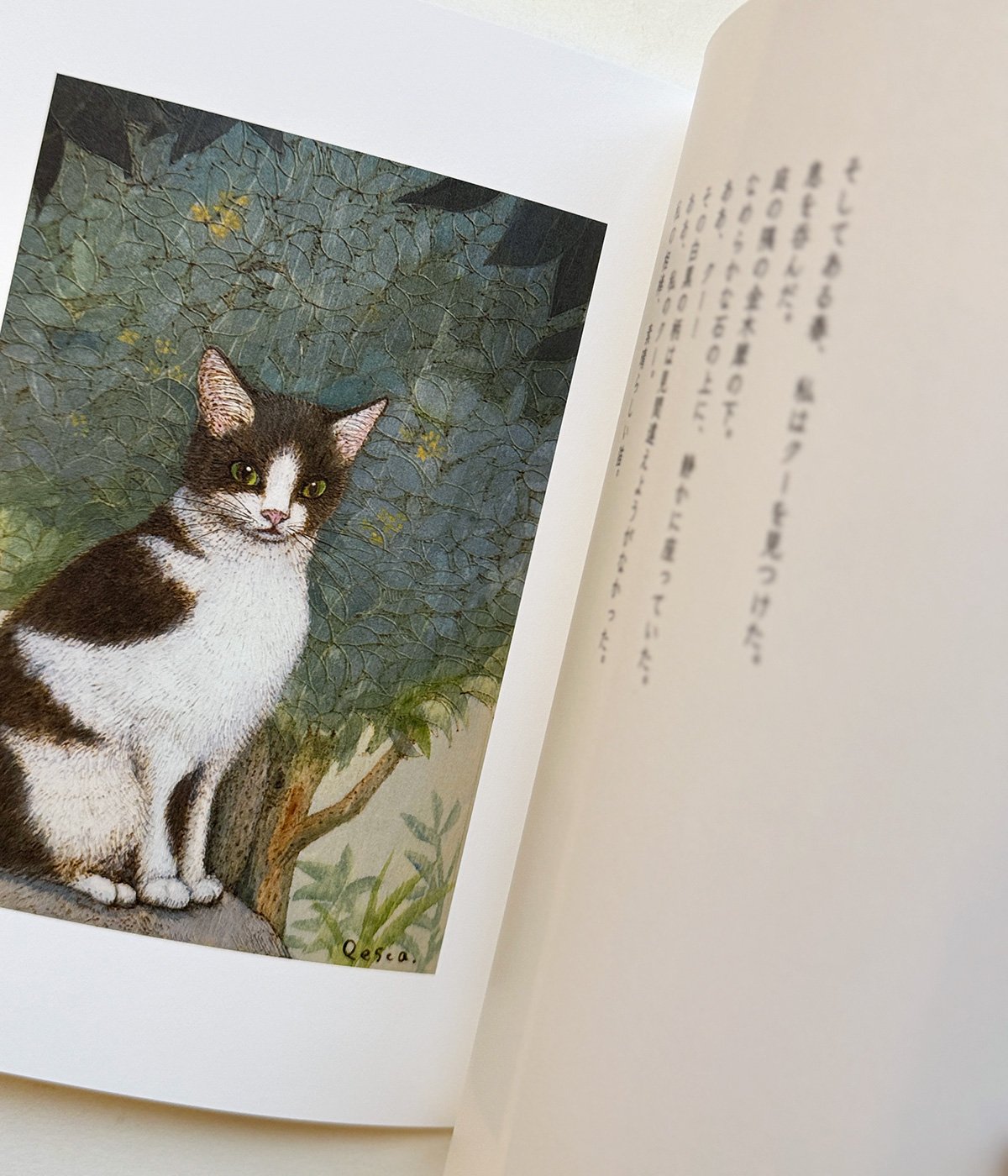 夜猫ホテル(初版本) サイン入り 夜猫ホテル 【 サイン本 】初版本 - メルカリ