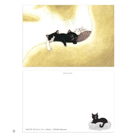 坂本千明「ぼくはいしころ」ポストカード