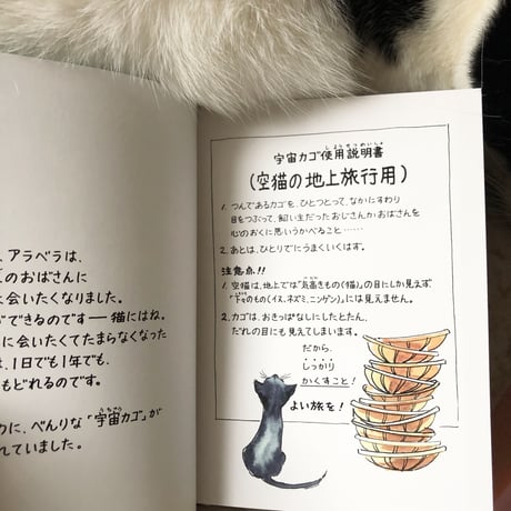 『空猫アラベラ』