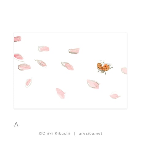 きくちちき 「さくらのふね」 ポストカード