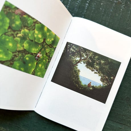 嶽まいこ作品集『DREAM TRAVELOGUE』
