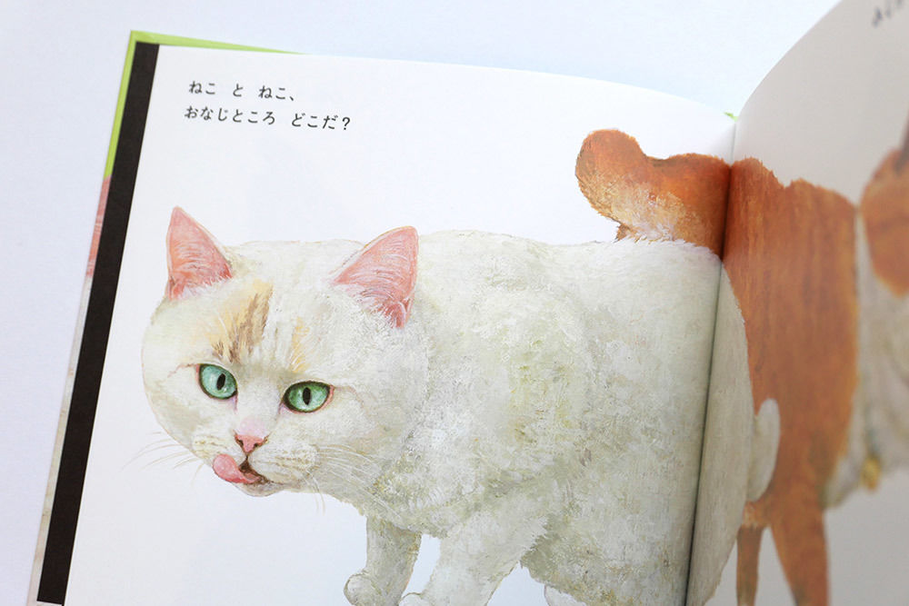 ねことねこ』町田尚子 | URESICA