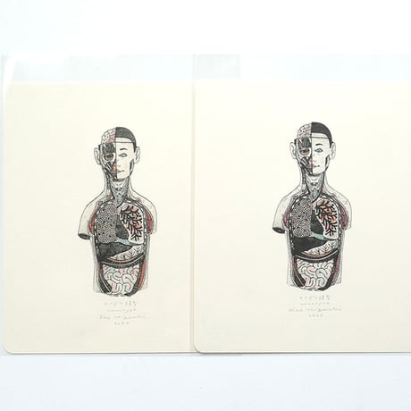樋口佳絵「カイボウ模型」＊シート